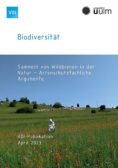 Person mit Notizblock und Netz zum Sammeln von Wildbienen auf Naturwiese mit Mohnblumen und Schafen im Hintergrund